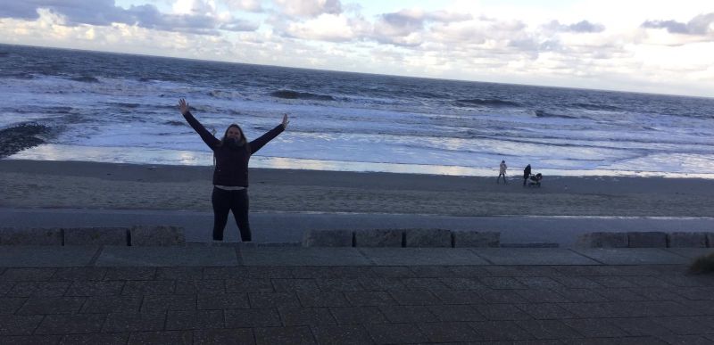 Strandhafer